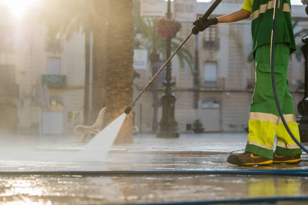 Best Exterior Home Cleaning  in Wlow Springs, IL